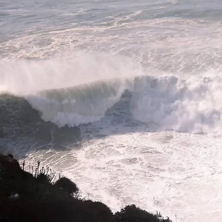 Apartment White Swell By Sitio Da *